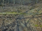 SDIM0933