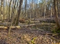SDIM0937