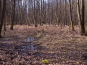 SDIM0940