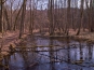 SDIM0945