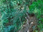 SDIM1011