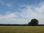 P1070527