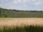 P1070579