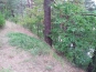 20140724_130950