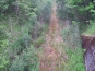 20140724_165351