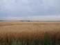 20140724_171049