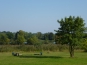 P1080014
