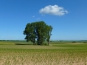 P1090005