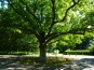 P1090073