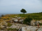 P1090594