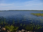 P1090906