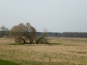 P1110206