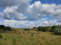 IMG_20190821_112122