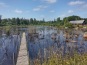 IMG_20190825_124939